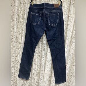 BKE Payton Dark Wash Skinny Jeans